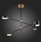 Люстра на штанге ST-Luce Rodrigo SL1604.432.04 - 7
