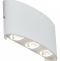 Накладной светильник ST-Luce SL089 SL089.501.06 - 0