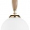 Подвесной светильник Odeon Light Palle 5405/1 - 1