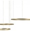 Подвесной светодиодный светильник Loft IT Ring 10017/3M - 3
