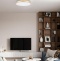 Накладной светильник Loft it Flims 10228/B - 6