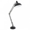 Торшер Arte Lamp Goliath A2487PN-1BK - 0