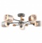 Люстра на штанге Ambrella Light TR TR3033233 - 0