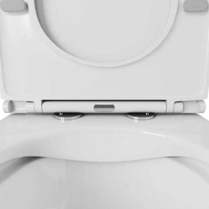 Напольный унитаз Owl Gap Ruta-G TOWLT200901 / OWLT200901/2, безободковый, смыв Торнадо, сиденье микролифт, белый - 6