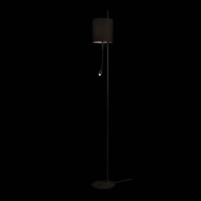 Торшер с подсветкой Loft it Ritz 10253F/B Black - 1