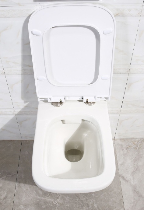 Унитаз подвесной BelBagno Dory BB522ACHR безободковый, с сиденьем микролифт BB2138SC - 4