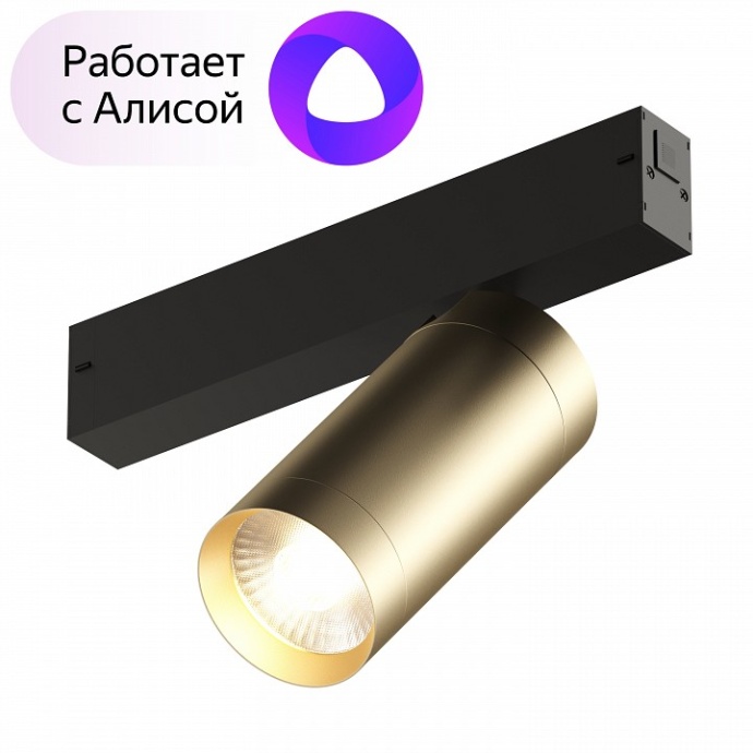 Трековый светодиодный светильник Denkirs Smart Spot DK8020-BG - 1