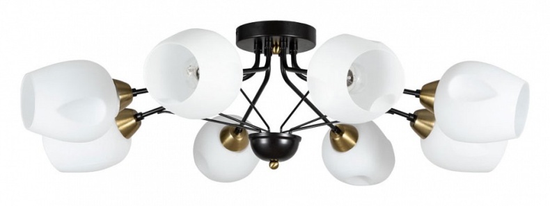 Потолочная люстра Arte Lamp Brighton A2706PL-8CK - 0