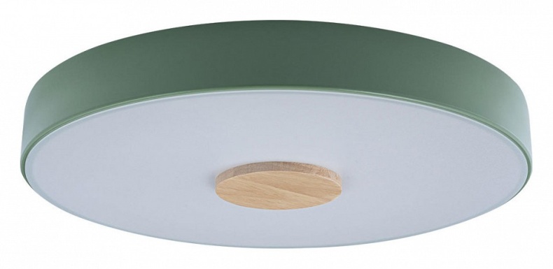 Накладной светильник Loft it Axel 2 10003/24 Green - 0