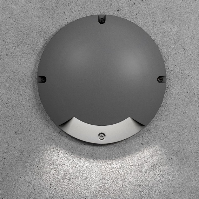 Накладной светильник Elektrostandard Park a065926 - 2
