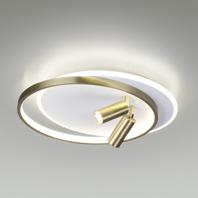 Потолочная светодиодная люстра Lumion Naoko 5603/63CL - 2