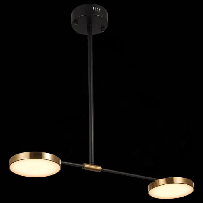 Светильник на штанге ST-Luce Farone SL1605.403.02 - 1