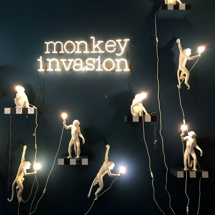Подвесной светильник Seletti Monkey Lamp 14923 - 9