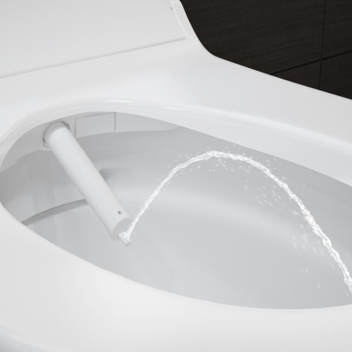 Унитаз подвесной Geberit AquaClean Tuma Comfort 146.294.SI.1 вставка белое стекло - 7