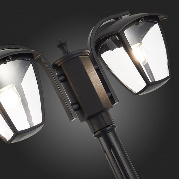 Фонарный столб ST-Luce Sivino SL081.405.02 - 6