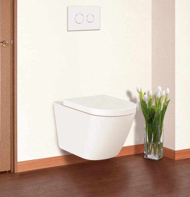 Крышка-сиденье BelBagno BB2002SC с микролифтом, петли хром - 1