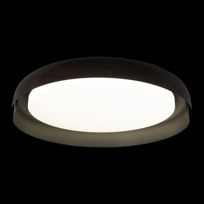 Накладной светильник Loft it Coin 10198 Black - 4