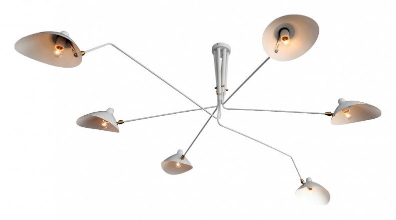 Люстра на штанге ST-Luce Spruzzo SL305.502.06 - 1