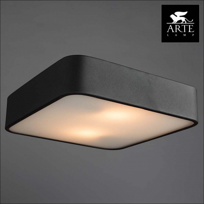 Потолочный светильник Arte Lamp Cosmopolitan A7210PL-2BK - 1