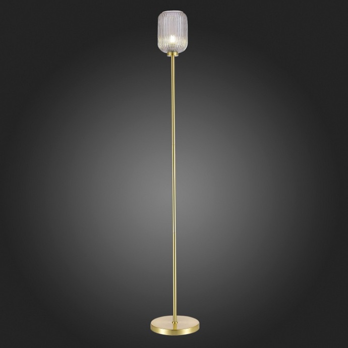 Торшер ST-Luce Gran SL1154.325.01 - 2