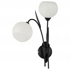 Бра Lussole Bagheria LSF-6291-02 - 1