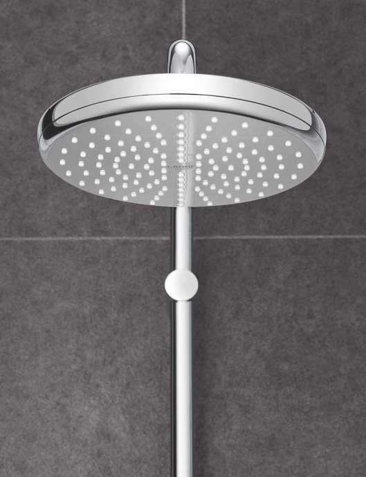 Верхний душ Grohe Tempesta 26410000 - 4