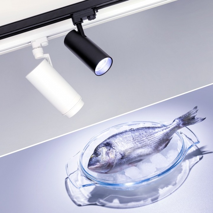 Трековый светодиодный светильник Arlight LGD-Zeus-4TR-R100-30W Cool SP7500-Fish 032453 - 1