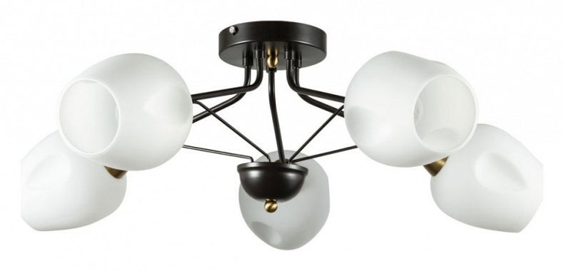 Потолочная люстра Arte Lamp Brighton A2706PL-5CK - 0