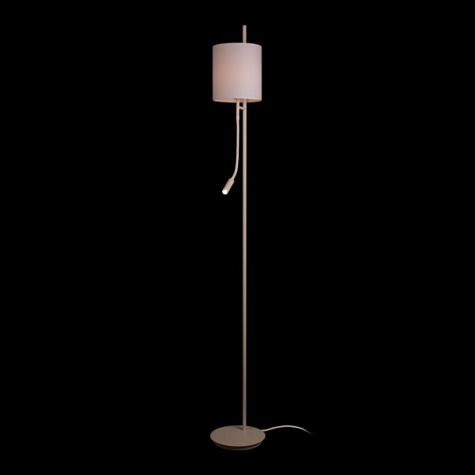 Торшер с подсветкой Loft it Ritz 10253F/B White - 1