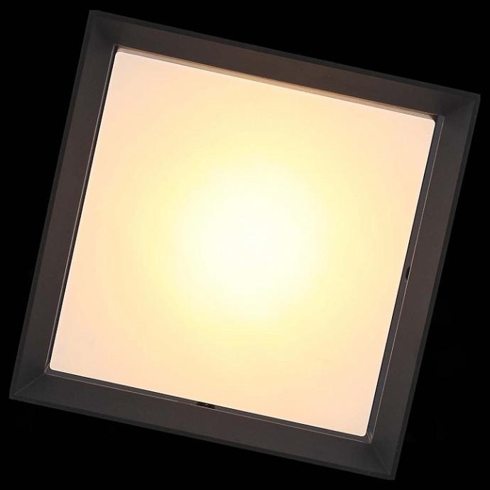 Накладной светильник ST-Luce Cubista SL077.402.01 - 4