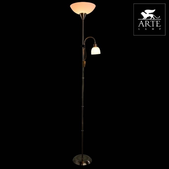 Торшер Arte Lamp Duetto A9569PN-2AB - 1