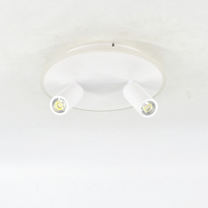 Светильник на штанге Escada 20046LED 20046SMA/02LED WH - 2