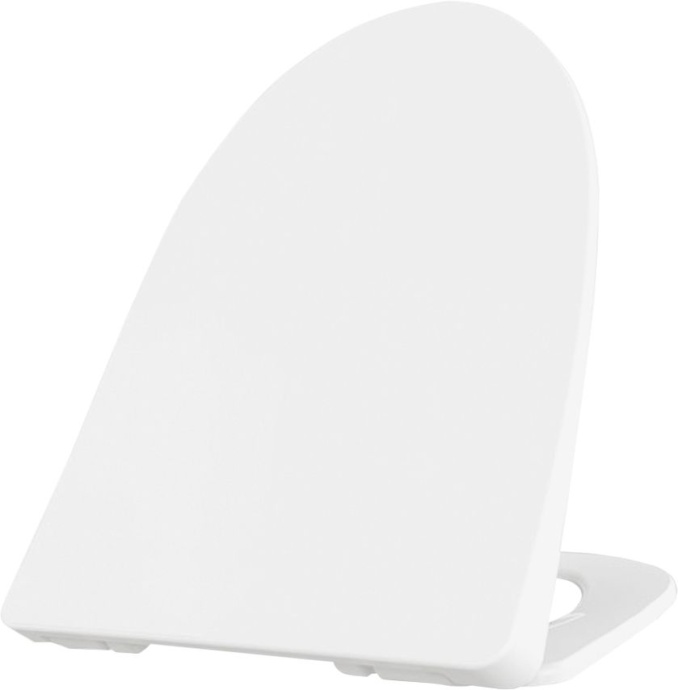 Унитаз подвесной BelBagno Alpha безободковый, с сиденьем микролифт BB2177SC BB300CHR - 5